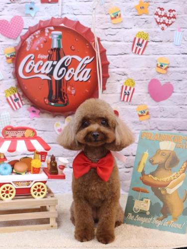 20230906ルアナちゃん